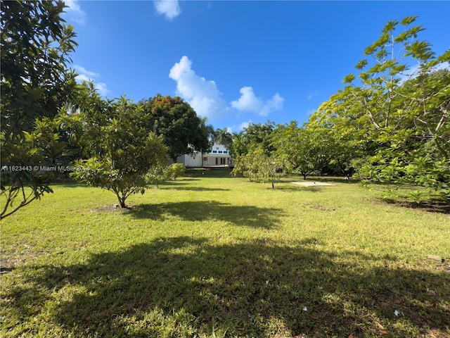 8390 SW 94th St, Miami, FL 33156 - view of grassy yard