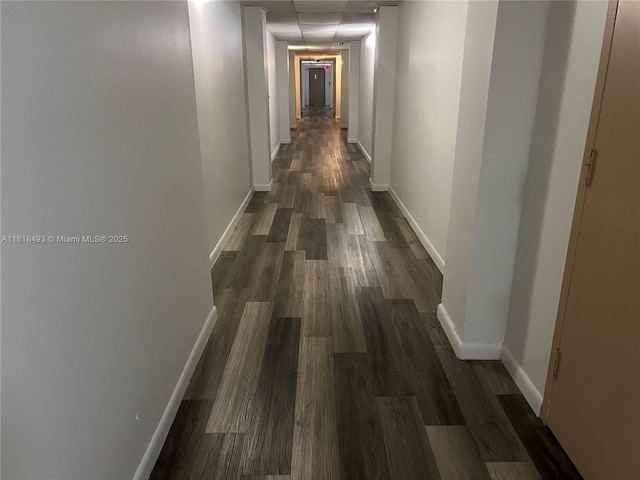 4160 Inverrary Dr Unit 306, Lauderhill, FL 33319 - hall featuring dark wood-type flooring and a paneled ceiling