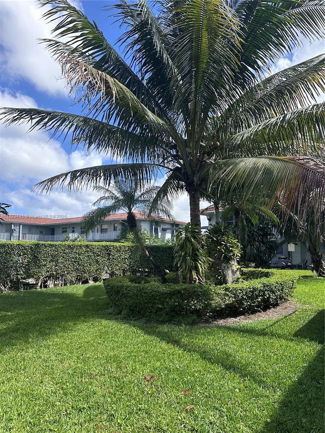 4050 NW 135th St Unit 8-9, Opa-Locka, FL 33054 - view of green lawn