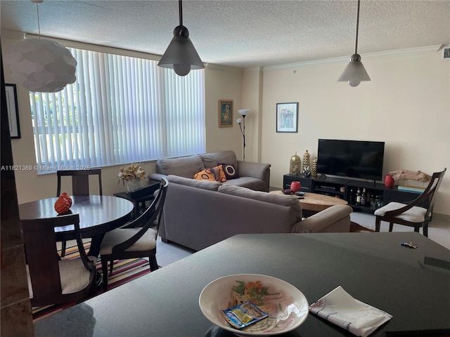 2000 N Bayshore Dr Unit 201, Miami, FL 33137 - living area featuring healthy amount of natural light, crown molding, and a textured ceiling