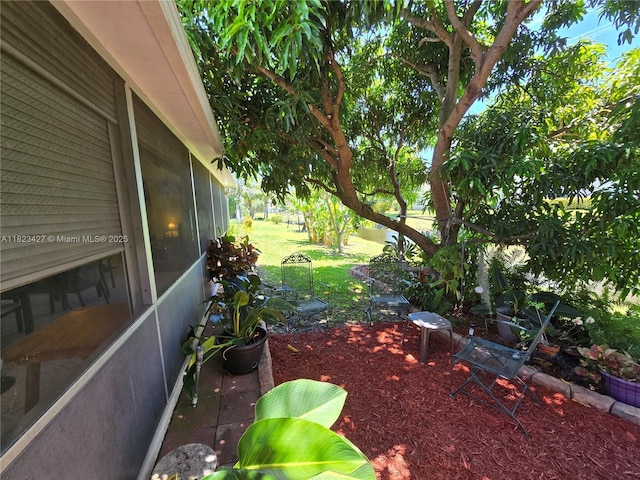 1711 SW 22nd St, Boynton Beach, FL 33426 - view of yard