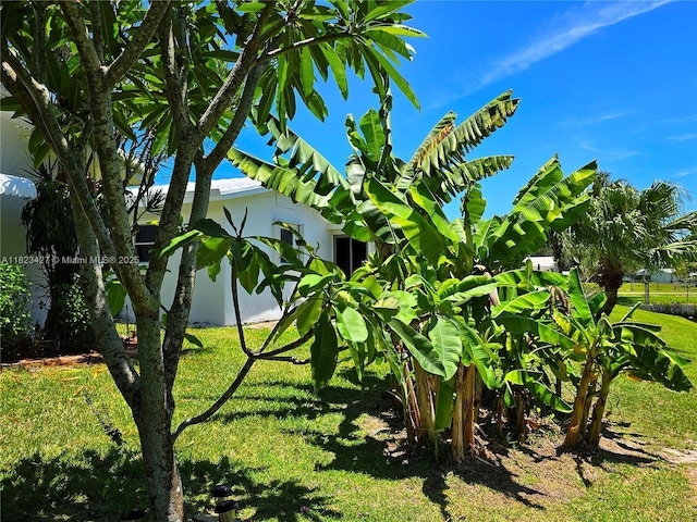 1711 SW 22nd St, Boynton Beach, FL 33426 - view of grassy yard
