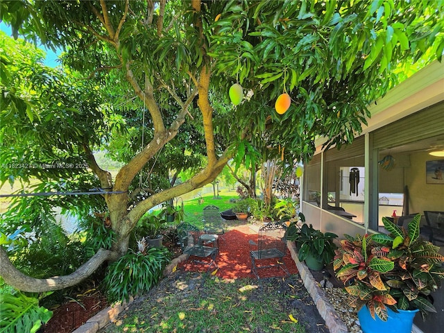 1711 SW 22nd St, Boynton Beach, FL 33426 - view of yard