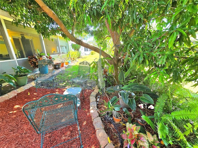 1711 SW 22nd St, Boynton Beach, FL 33426 - view of yard