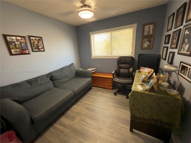 1651 SW 120th Ave, Pembroke Pines, FL 33025 - office space with light wood finished floors, ceiling fan, and a textured ceiling