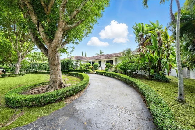 13454 SW 58th Ave, Pinecrest, FL 33156 - view of property's community with a lawn and driveway