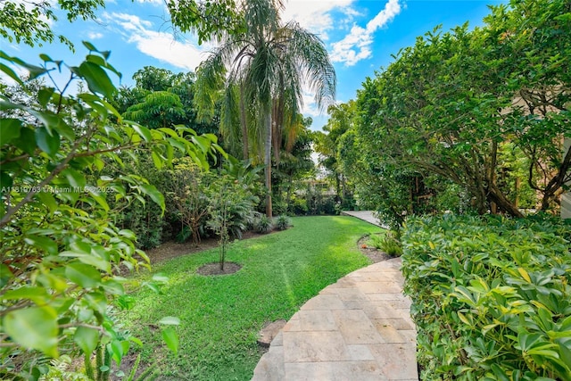 13454 SW 58th Ave, Pinecrest, FL 33156 - view of green lawn