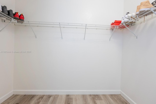 11456 SW 254th St, Homestead, FL 33032 - spacious closet with light wood-style floors