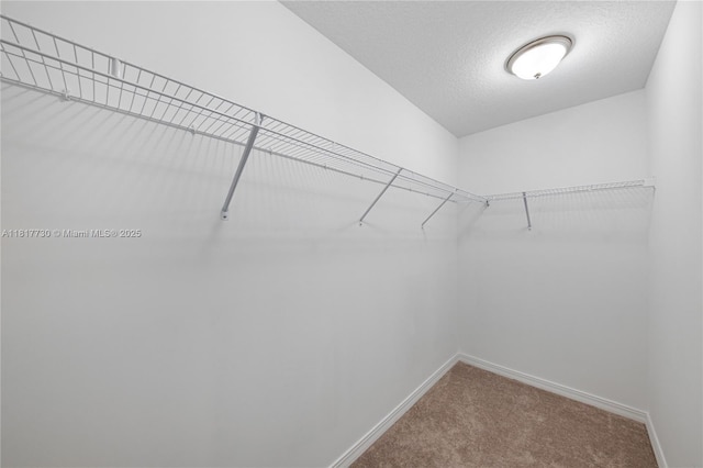 8160 NW 78th St, Tamarac, FL 33321 - photo 43