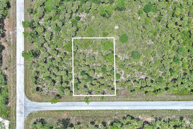 134 S Navarra Ave, Lehigh Acres, FL 33974