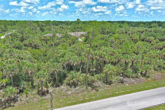 134 S Navarra Ave, Lehigh Acres, FL 33974
