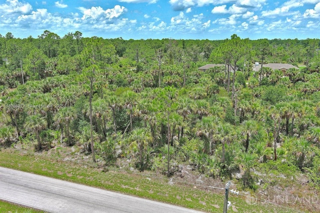 134 S Navarra Ave, Lehigh Acres, FL 33974