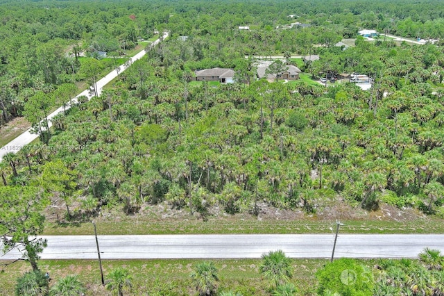 134 S Navarra Ave, Lehigh Acres, FL 33974