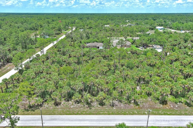 134 S Navarra Ave, Lehigh Acres, FL 33974