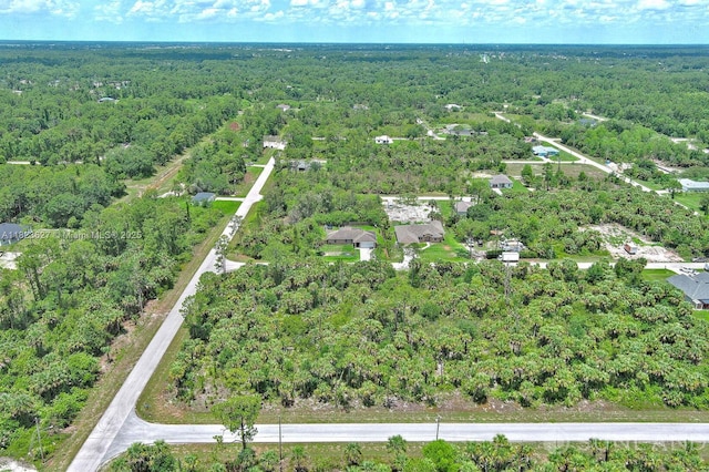 134 S Navarra Ave, Lehigh Acres, FL 33974