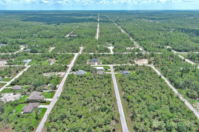 134 S Navarra Ave, Lehigh Acres, FL 33974