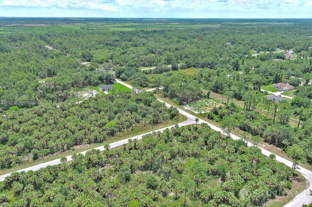 134 S Navarra Ave, Lehigh Acres, FL 33974