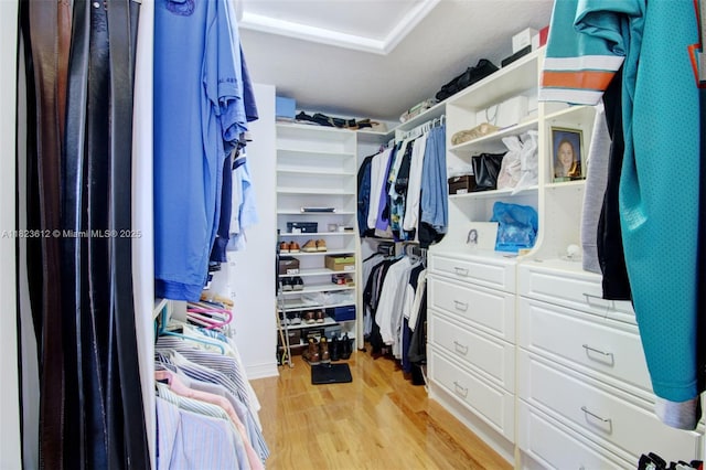 21025 NE 31st Ave, Aventura, FL 33180 - spacious closet featuring light wood-type flooring
