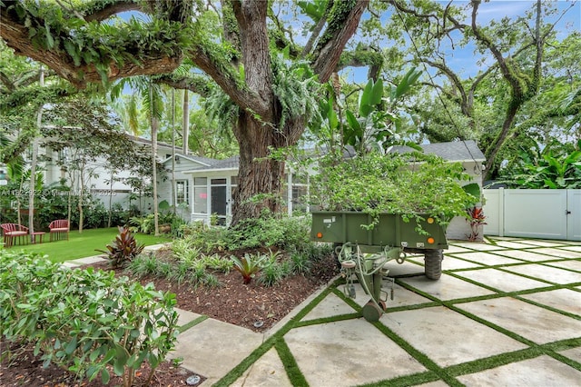 842 NW 9th Ct, Miami, FL 33136 - view of yard featuring a patio