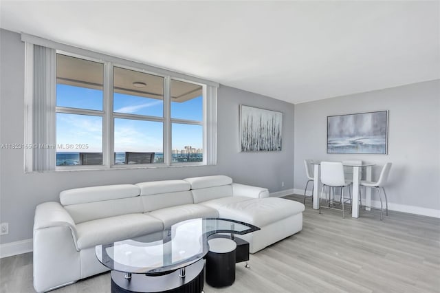 2639 N Riverside Dr Unit 1203, Pompano Beach, FL 33062 - living area with light wood-style floors