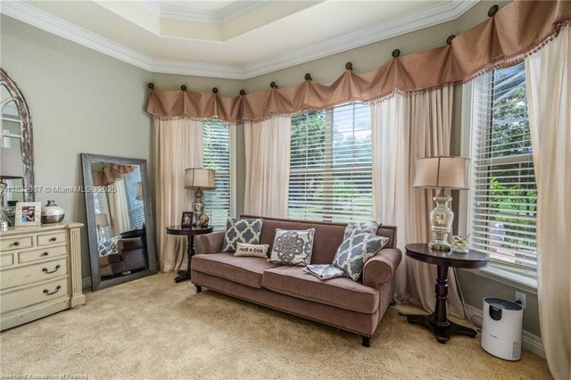 3859 Enchanted Oaks Ln, Sebring, FL 33875 - living room featuring light colored carpet, crown molding, and a tray ceiling