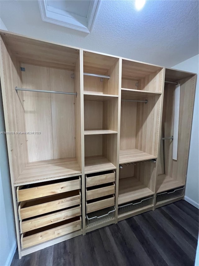 185 Riverwalk Cir, Sunrise, FL 33326 - view of closet