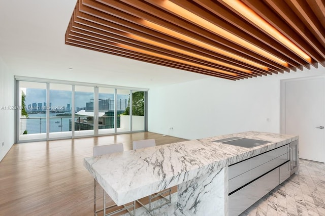 1300 Monad Ter Unit 9D, Miami Beach, FL 33139 - kitchen with black electric cooktop, plenty of natural light, expansive windows, a view of city, and light stone counters