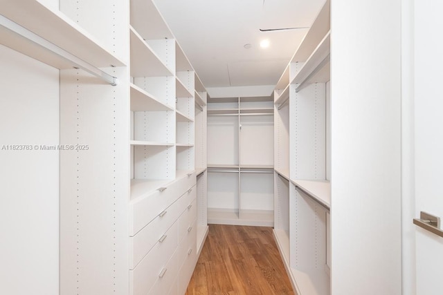 1300 Monad Ter Unit 9D, Miami Beach, FL 33139 - walk in closet featuring wood finished floors
