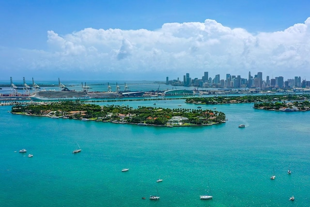1300 Monad Ter Unit 9D, Miami Beach, FL 33139 - water view featuring skyline