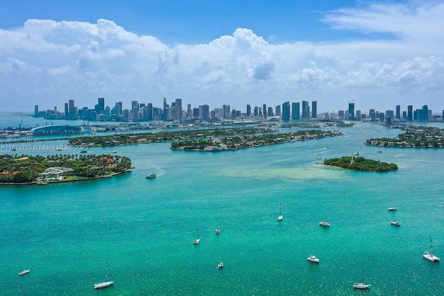 1300 Monad Ter Unit 9D, Miami Beach, FL 33139 - water view featuring skyline