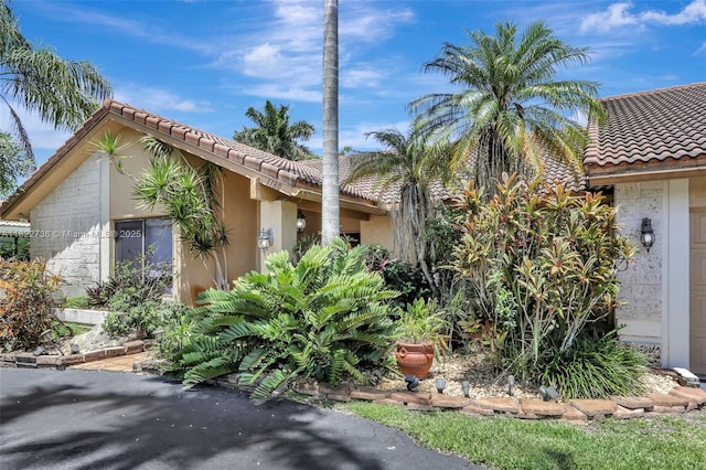 1180 NW 100th Way, Plantation, FL 33322 - view of front facade with a tile roof and stucco siding