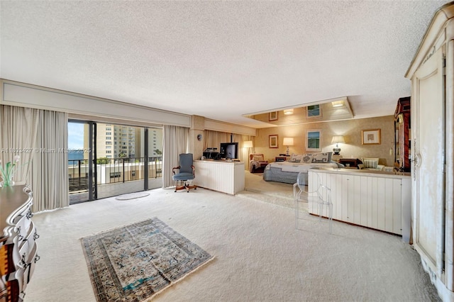 1800 NE 114th St Unit 604, Miami, FL 33181 - living area featuring a textured ceiling, light carpet, and a desk