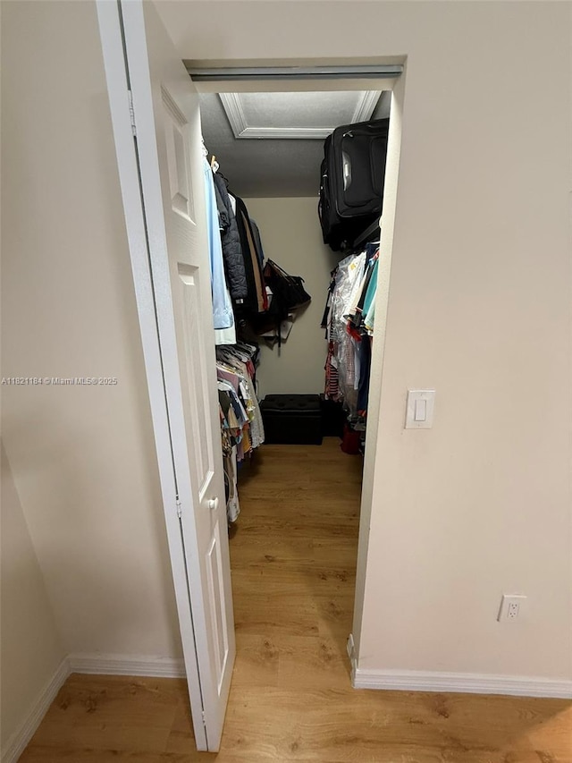 14251 SW 96th Ter Unit 14251, Miami, FL 33186 - walk in closet featuring light wood-style flooring and attic access