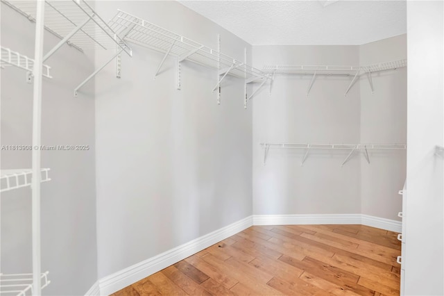 1020 NW 184th Ter, Pembroke Pines, FL 33029 - spacious closet with light wood-style floors