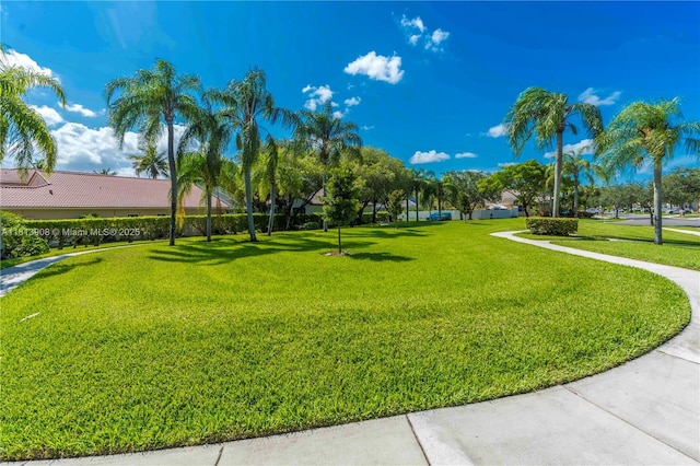 1020 NW 184th Ter, Pembroke Pines, FL 33029 - view of property's community featuring a lawn