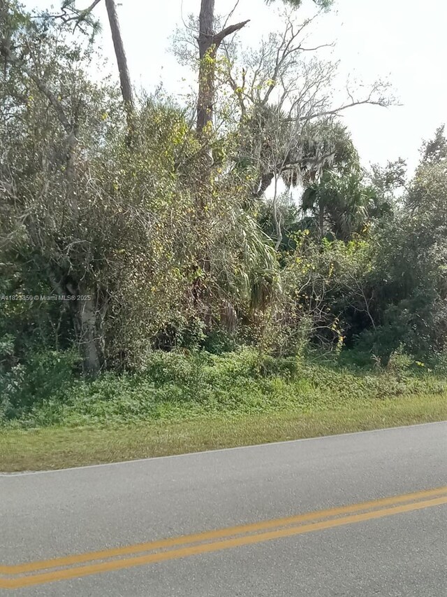 12032 Green Gulf Blvd, Punta Gorda, FL 33955 - photo 6