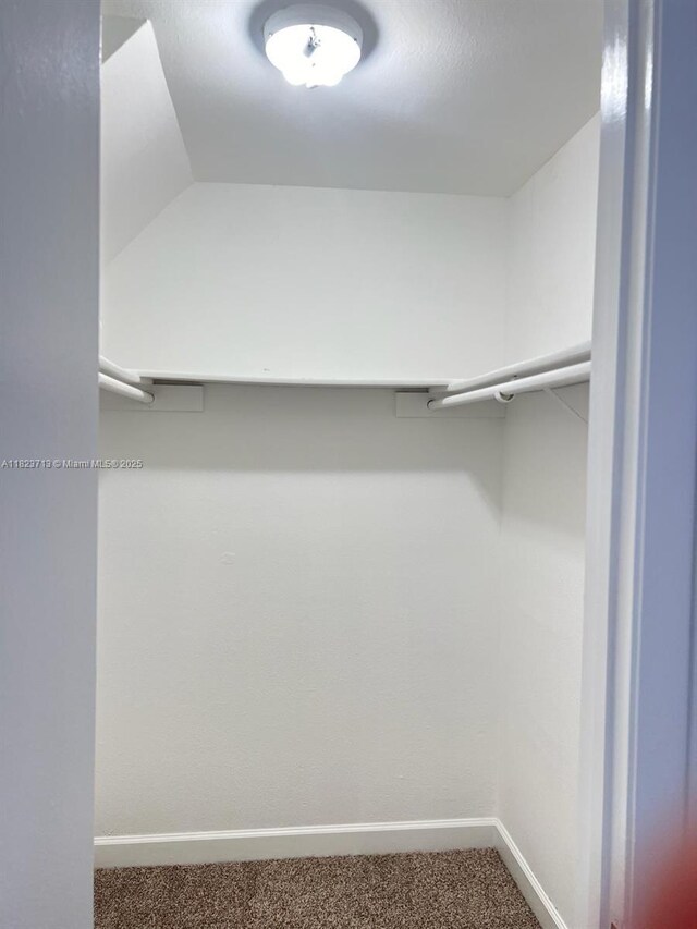 4017 NW 87th Ave Unit 4017, Sunrise, FL 33351 - walk in closet with carpet
