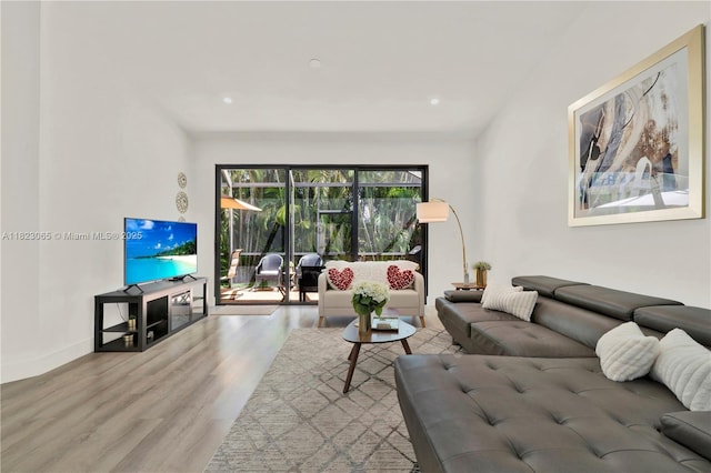 9905 NW 52nd Ln, Doral, FL 33178 - living room featuring wood finished floors and baseboards