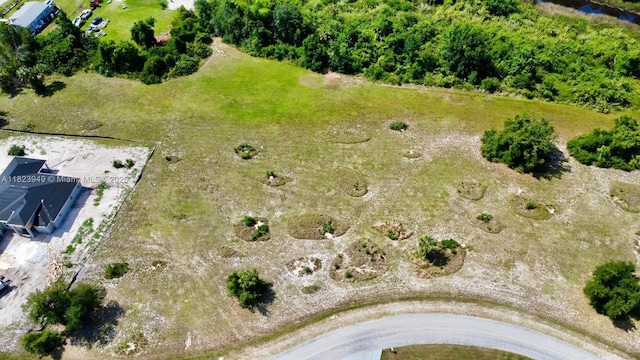 29031 Tortoise Trl, Punta Gorda, FL 33982 - photo 3