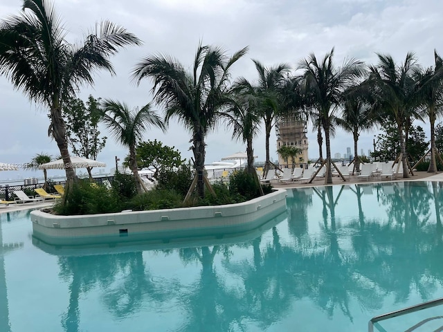 159 NE 6th St Unit 3104, Miami, FL 33132 - view of community pool