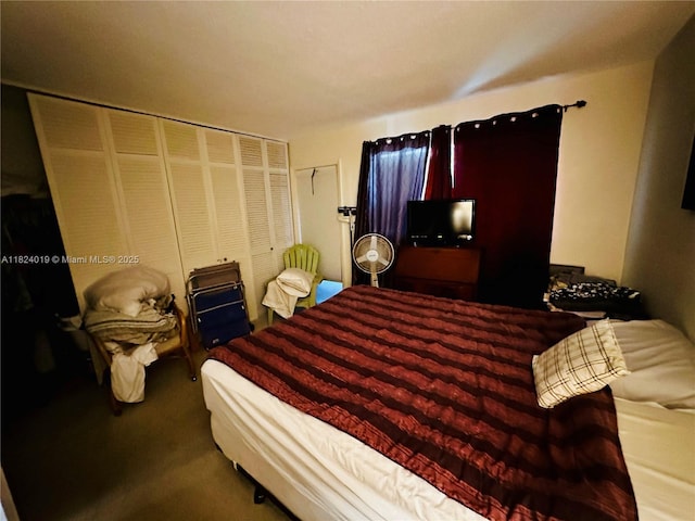 carpeted bedroom featuring a closet
