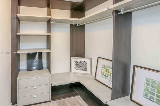 801 S Miami Ave Unit 3108, Miami, FL 33130 - spacious closet with wood finished floors