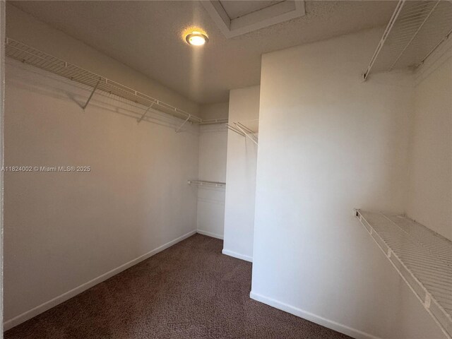 833 Stanton Dr, Weston, FL 33326 - photo 23