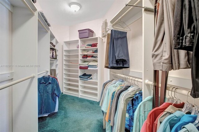 20406 SW 54th Pl, Pembroke Pines, FL 33332 - walk in closet with carpet