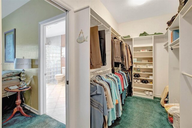 20406 SW 54th Pl, Pembroke Pines, FL 33332 - walk in closet featuring carpet and tile patterned flooring
