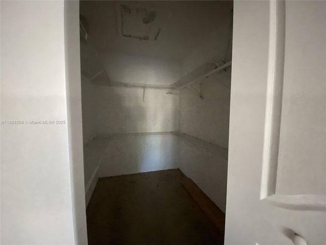 18942 NW 86th Ct, Hialeah, FL 33015 - view of walk in closet