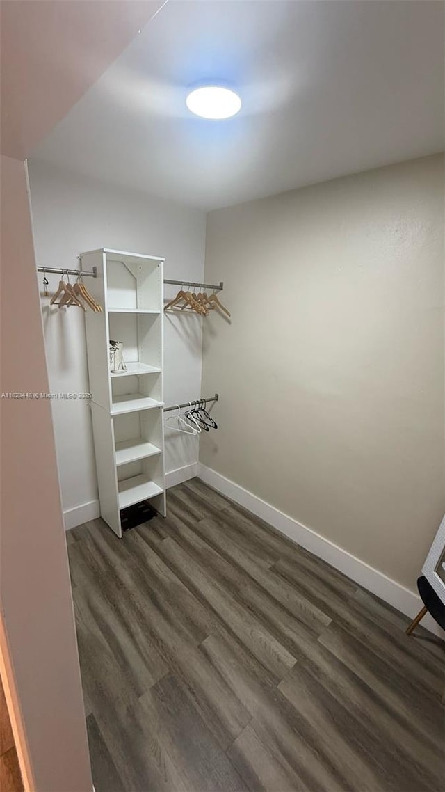 8132 Harding Ave Unit 2, Miami Beach, FL 33141 - walk in closet with dark wood-style flooring