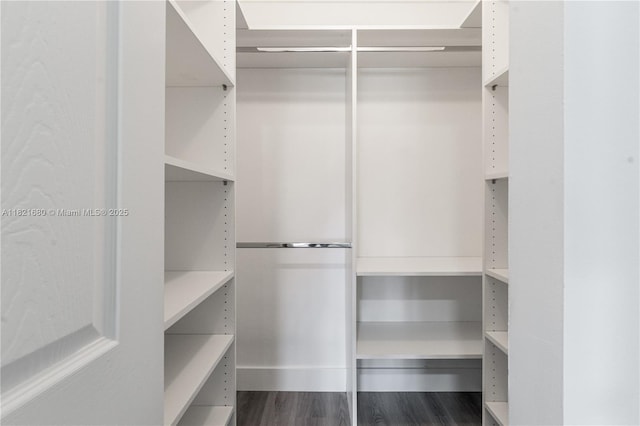 272 Fairway Cir Unit 98, Weston, FL 33326 - walk in closet featuring dark wood-type flooring