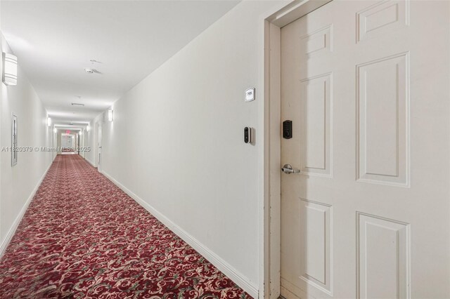 2425 SW 27th Ave Unit 705, Miami, FL 33145 - hallway with carpet and baseboards