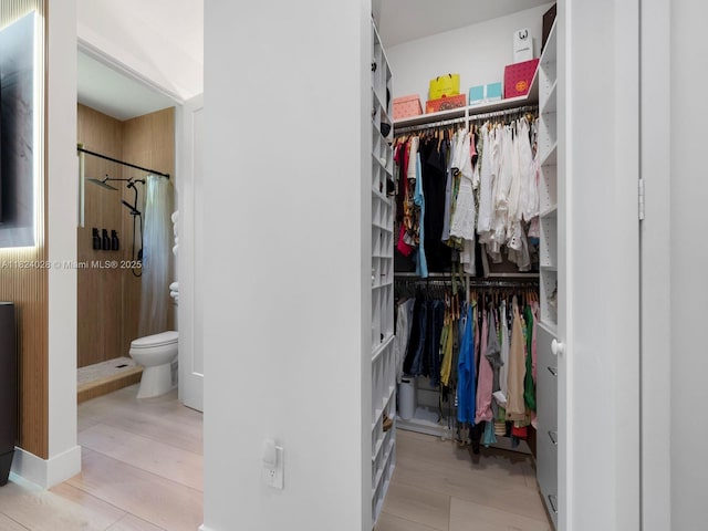 18100 SW 175th St, Miami, FL 33187 - view of closet